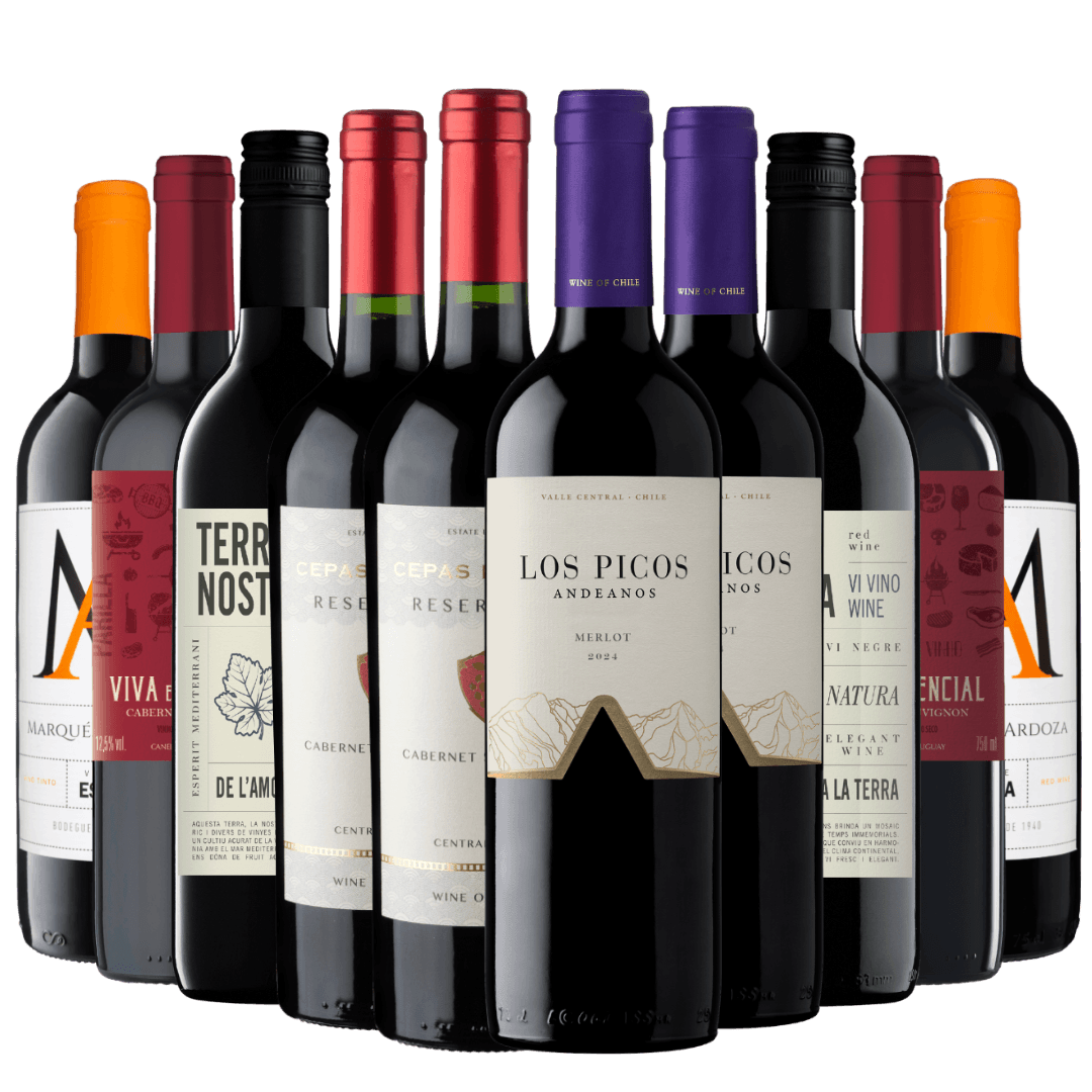 Kit 10 Vinhos Mais Vendidos